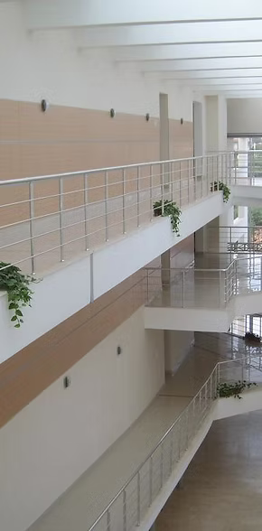 65433d_05e63b40940a4f3bb8a9456f190344e7~mv2