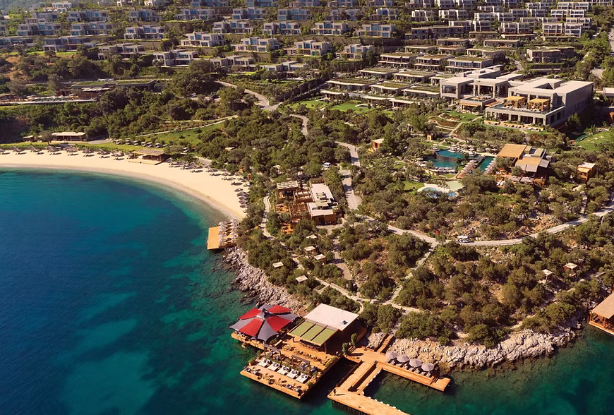 65433d_36bc04e687c34179829075654d488ece~mv2