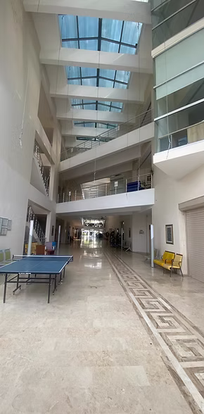 65433d_481ce4ac3ffa469082490506d2f51b01~mv2