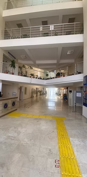 65433d_8c3809671e374212a80bf40569e93784~mv2