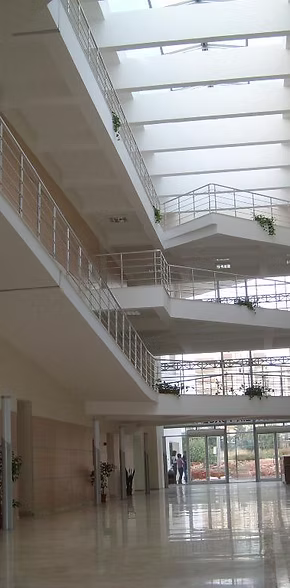 65433d_c95ec5e039b74dd3897c3892c4b03cae~mv2