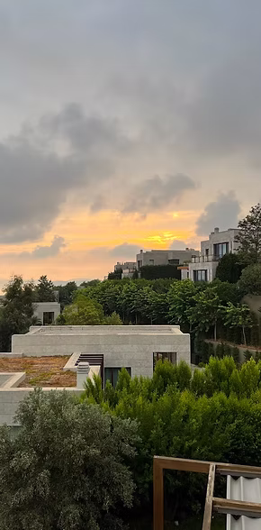 65433d_eb8e450ec5774e28bdd0a7049d0fa62f~mv2